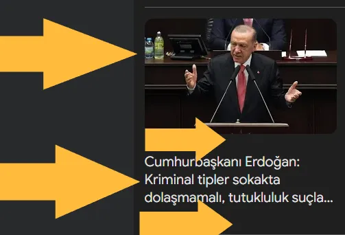 Cumhurbaşkanı Erdoğan: Kriminal tipler sokakta dolaşmamalı, tutukluluk suçla orantılı olacak