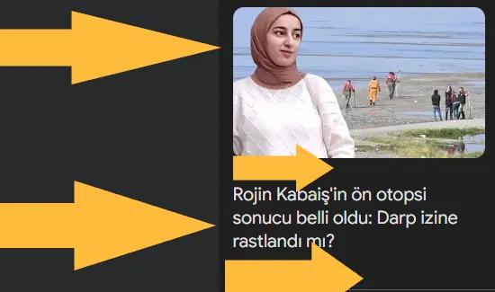 Rojin Kabaiş