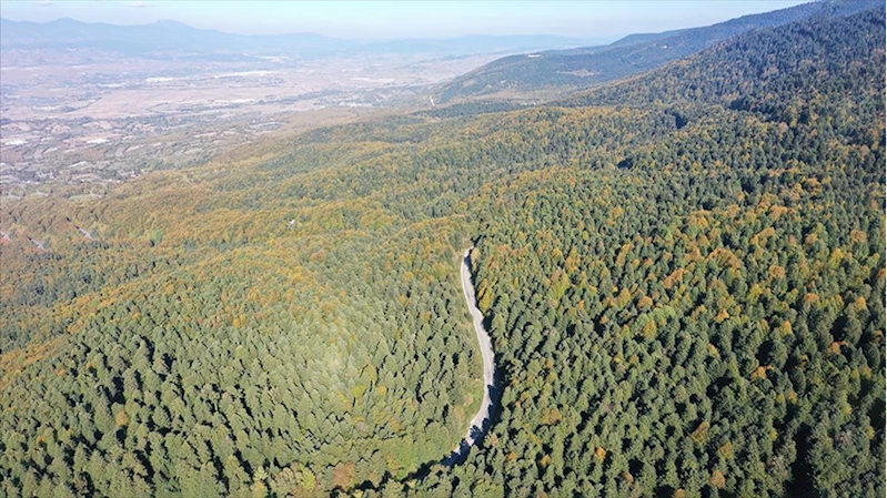 Gölcük Tabiat Parkı ve çevresi hazan mevsiminin renkleriyle süslendi 