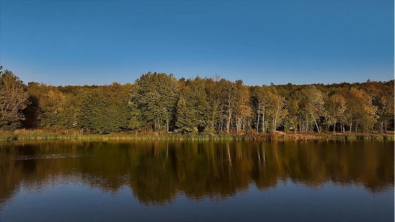 Korugöl Tabiat Parkı