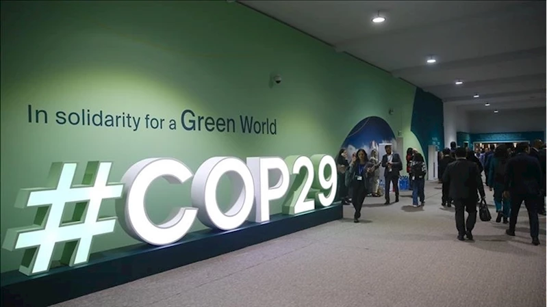 COP29