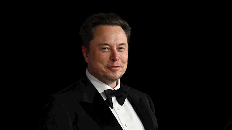 Musk İngiltere