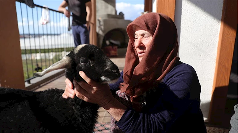 Kar fırtınasından AFAD ekiplerince kurtarılan yaşlı kadın kuzusuna kavuştu