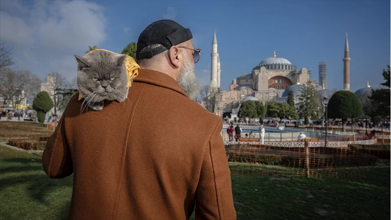 Sahibinin omzunda taşıyarak gezdirdiği kedi adeta İstanbul