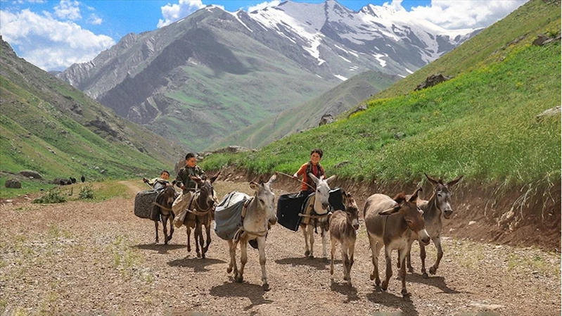 Hakkari