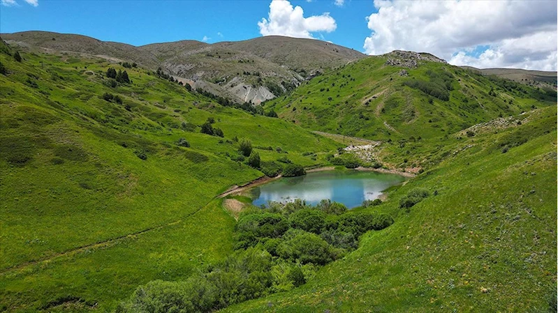 Kop Dağı zengin bitki örtüsü ve endemik türleriyle öne çıkıyor