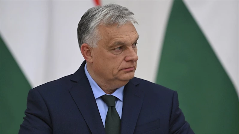 Macaristan Başbakanı Orban, Avrupa