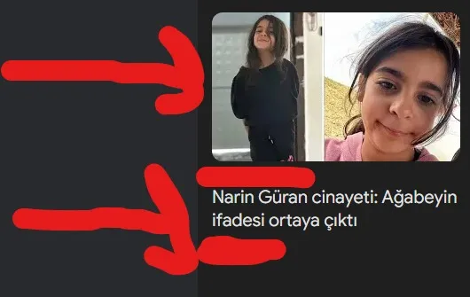 Narin Güran cinayeti: Savcının tutuklama istediği ağabeyin ifadesi ortaya çıktı