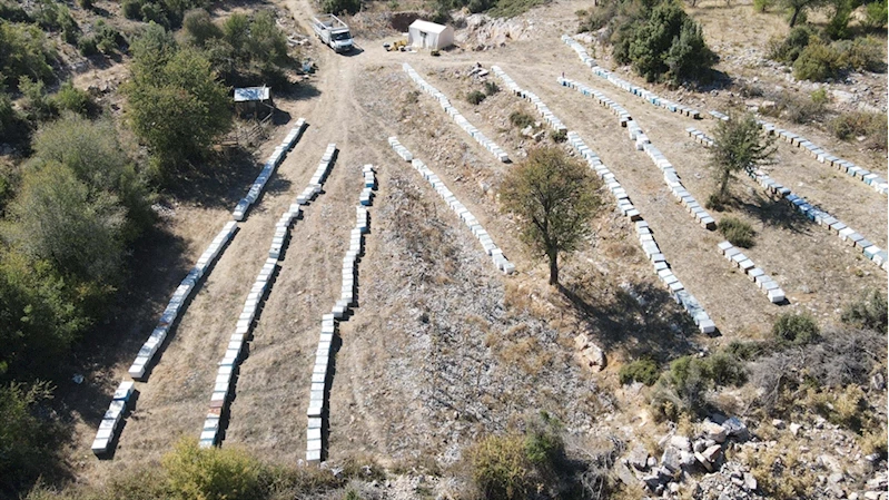  Çiçekten istediği verimi alamayan arıcıları çam balı sevindirdi