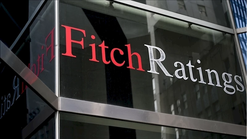 Fitch, Türkiye