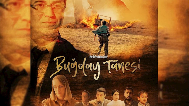 Buğday Tanesi