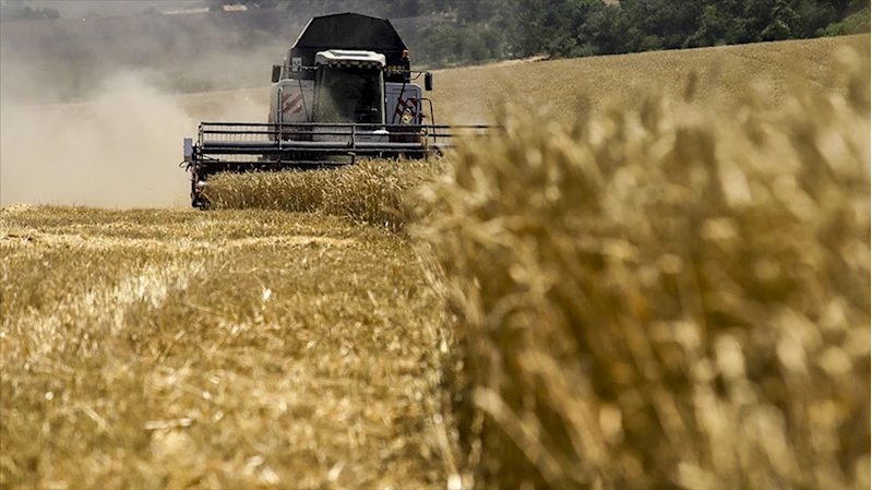 Rusya mevcut tarım sezonunda 57 milyon ton tahıl ihracatı planlıyor