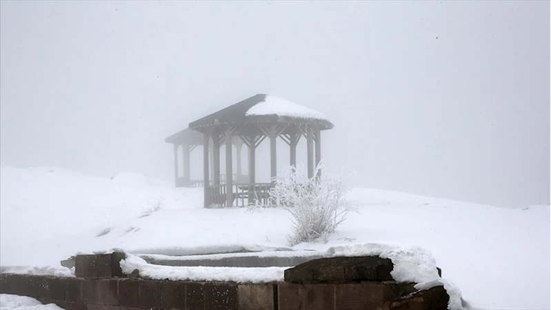 Bolu Dağı ve Bitlis