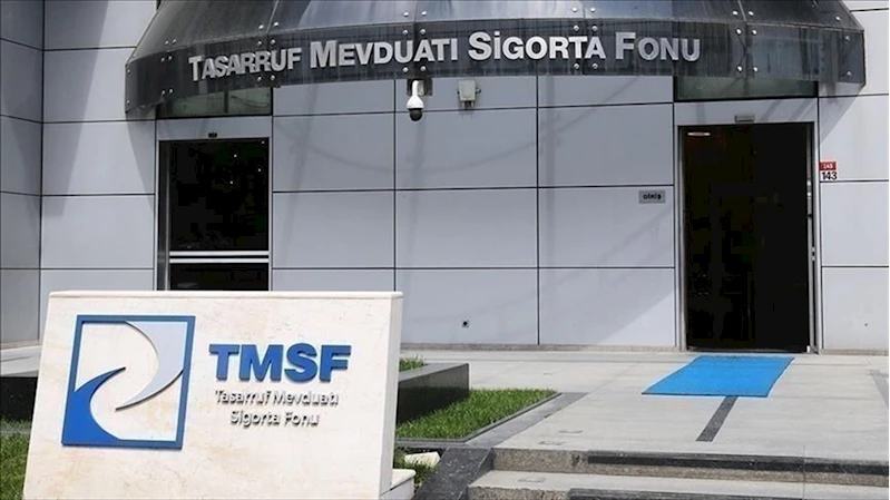 TMSF 2 şirketi satışa çıkardı