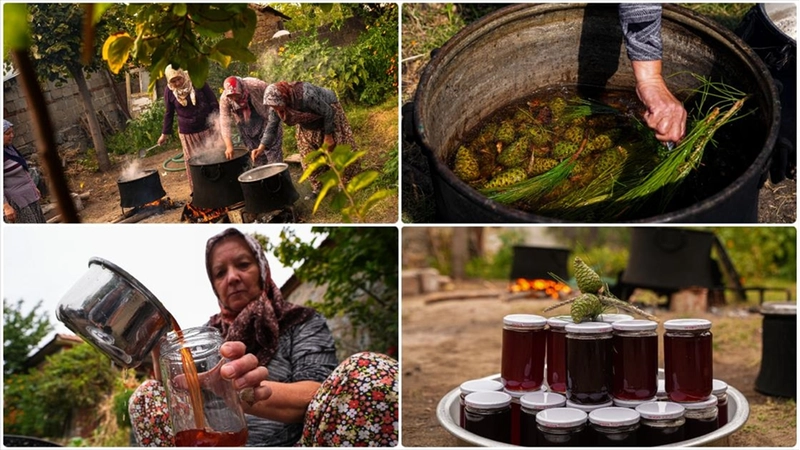 Kozak Yaylası