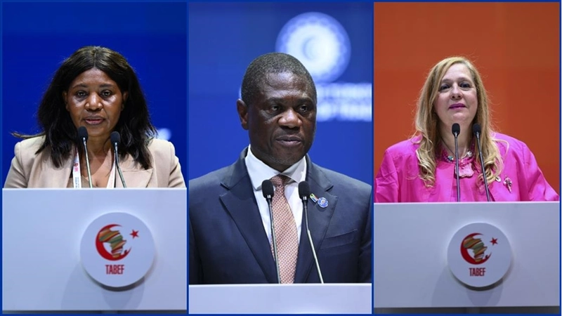 Türkiye-Afrika İş ve Ekonomi Forumu