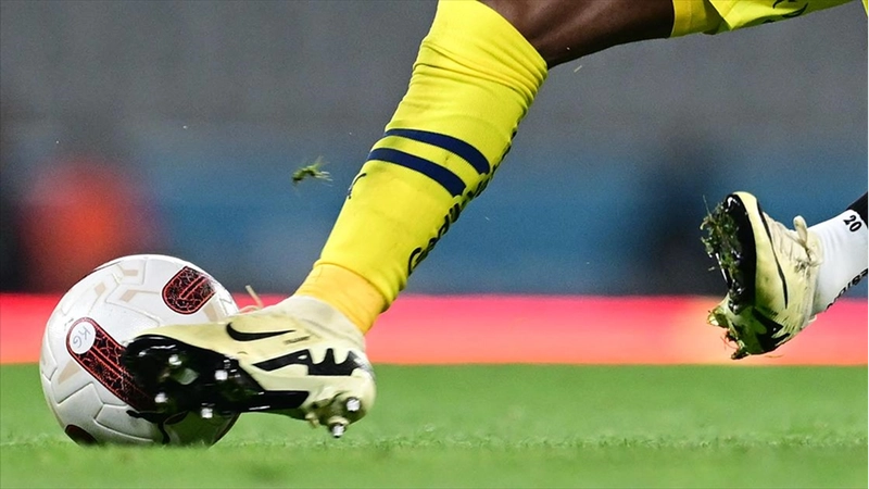 Fenerbahçe, Süper Lig