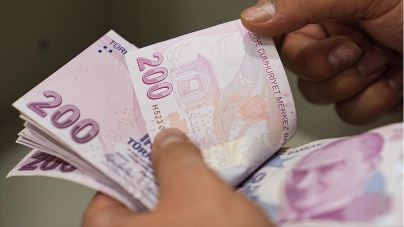 İşçi, işveren ve hükümet 