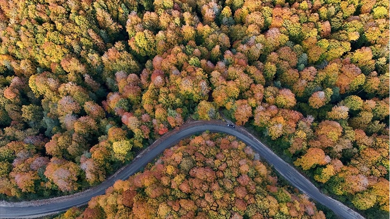 Kırklareli