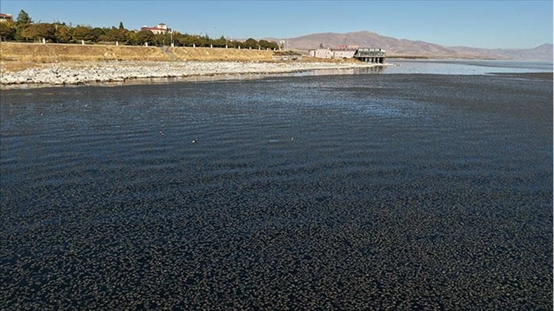 Van Gölü