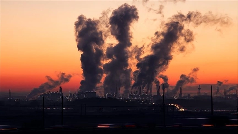 Fosil yakıtların küresel enerji tüketimindeki liderliği 2050