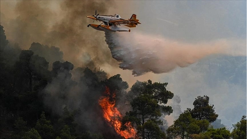 Yapay zeka orman yangınlarına müdahaleye hız kazandırdı