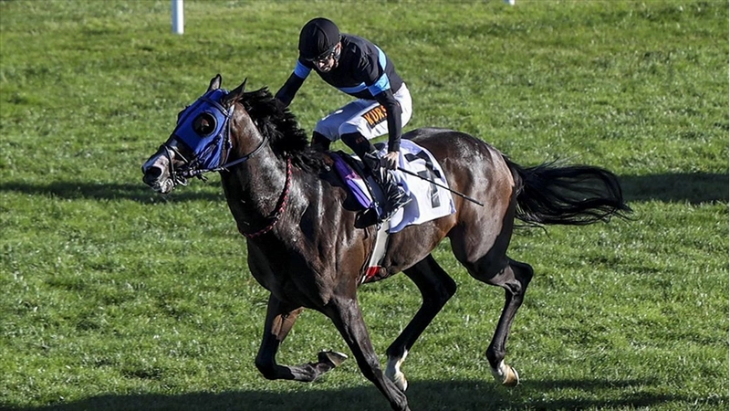 At yarışlarında 45. Cumhuriyet Koşusu ve 87. Cumhurbaşkanlığı Koşusu, Ankara