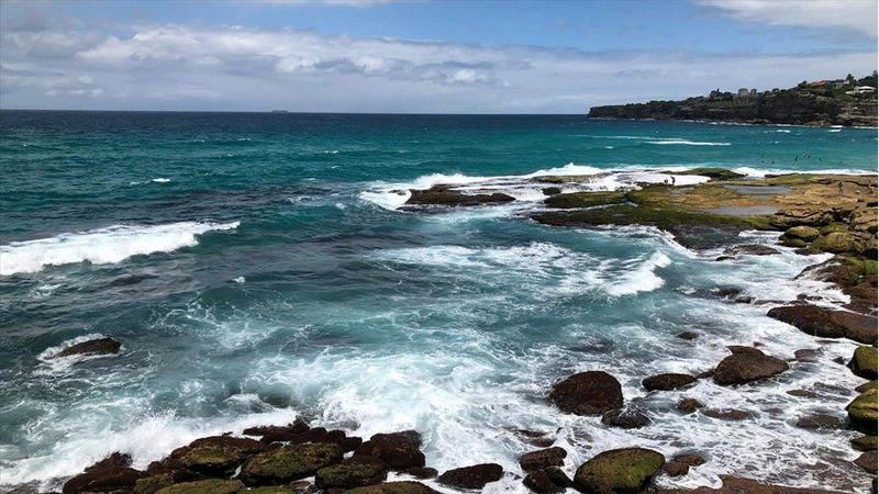 Birinci Dünya Savaşı