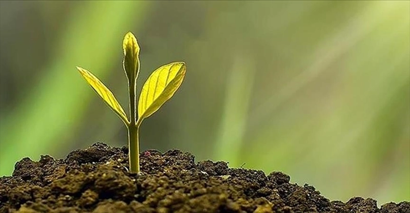 İklim Değişikliği Azaltım Stratejisi ve Eylem Planı güncellenecek