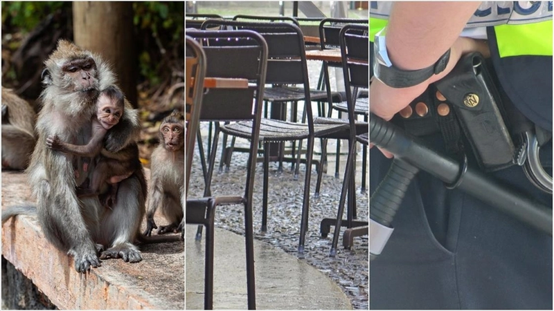 Dünyada ekim ayında birçok sıra dışı ve tuhaf olay basına yansıdı