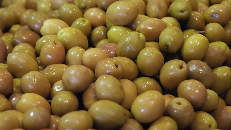 Sofralık zeytin ihracatında rekor kırıldı