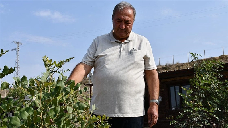 Emekli mühendis 156 dönümlük atıl araziyi fidanlarla yeşertti