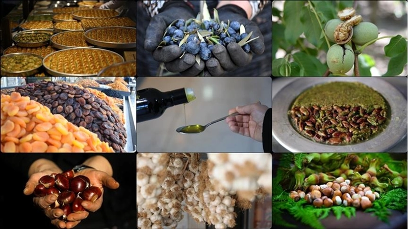 AB tescili, Türk ürünlerinin küresel pazarda görünürlüğünü artırıyor