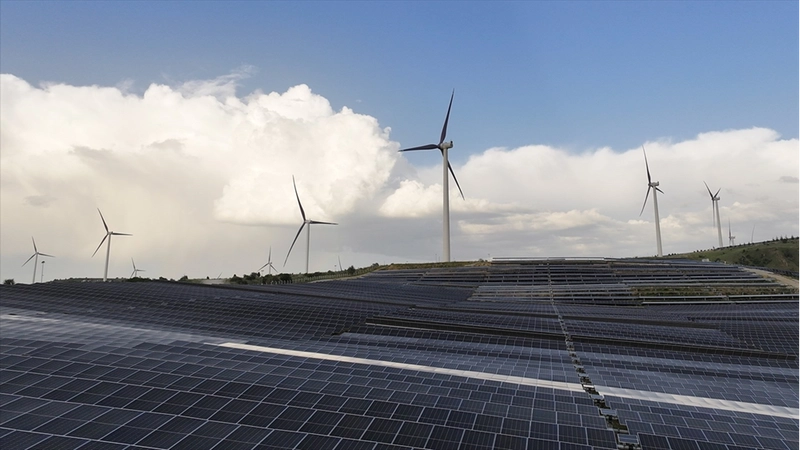 Uluslararası ölçekte 