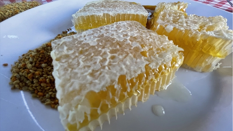 Yenice ıhlamur balı AB