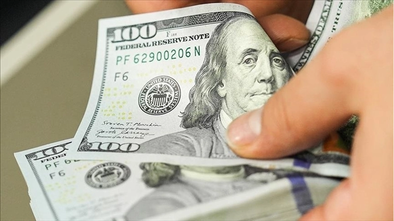 Finansal kesim dışındaki firmaların net döviz açığı eylülde azaldı