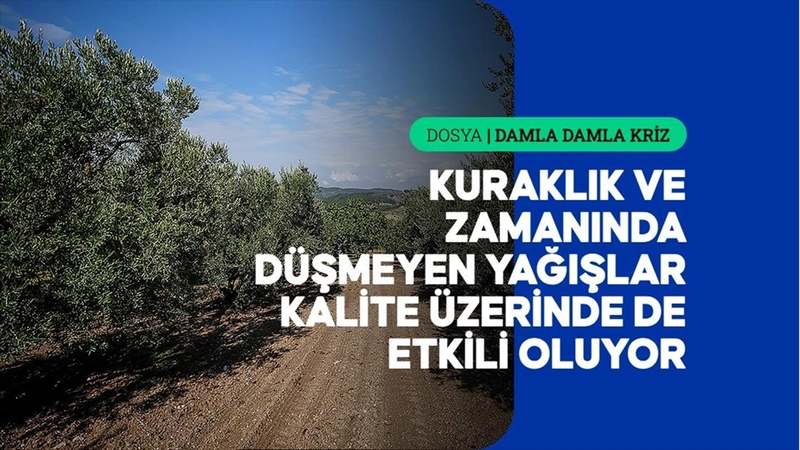 Azalan su kaynakları tarımda hem verimi hem de kaliteyi etkiliyor