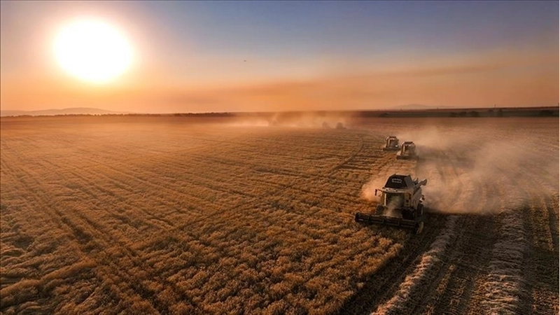 Çiftçilere 711 milyon 848 bin lira tarımsal destek ödemesi bugün yapılacak