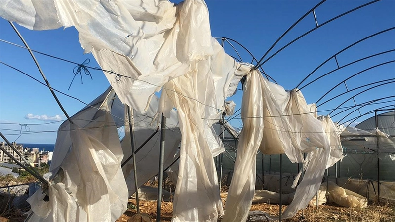 Tarım sigortaları kapsamında ekimde üreticilere 11,6 milyar lira hasar tazminatı ödendi