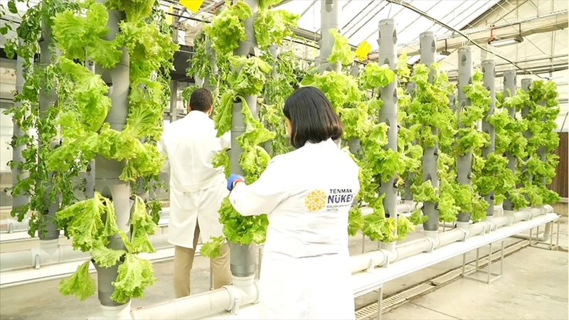 TENMAK, yiyeceklerin raf ömrünü uzatan gıda teknolojisi geliştiriyor