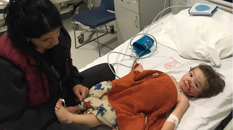 Başkentte pitbull cinsi köpeğin saldırısına uğrayan 2 çocuk yaralandı