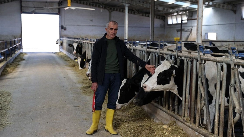 Devlet desteğiyle kurduğu işletmesinde günlük 1 ton süt elde ediyor 