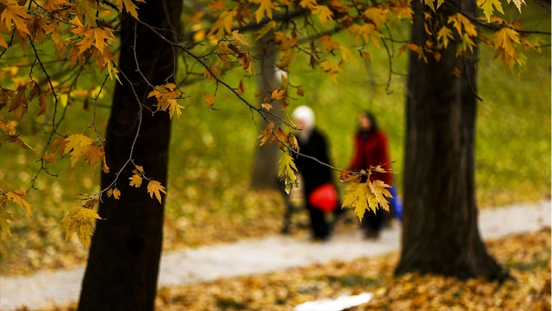 Bu hafta yurt genelinde sıcaklıklar mevsim normallerinin üzerinde seyredecek