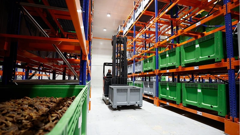 Malatya kayısısı lisanslı depo sayesinde dünya pazarındaki yerini korudu