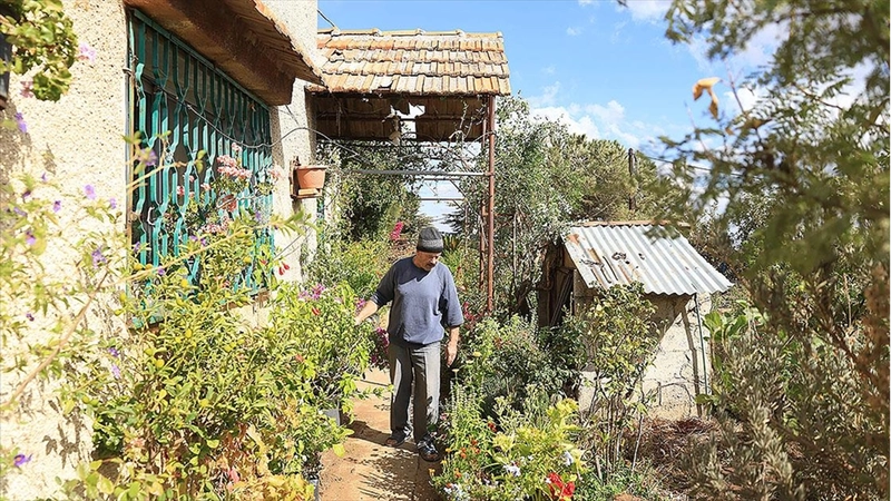  Suriyeli koleksiyoner Receb, evinde binlerce bitki türü yetiştiriyor