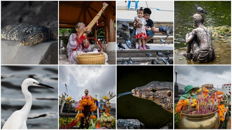 Tayland’ın Nakhon şehrindeki 