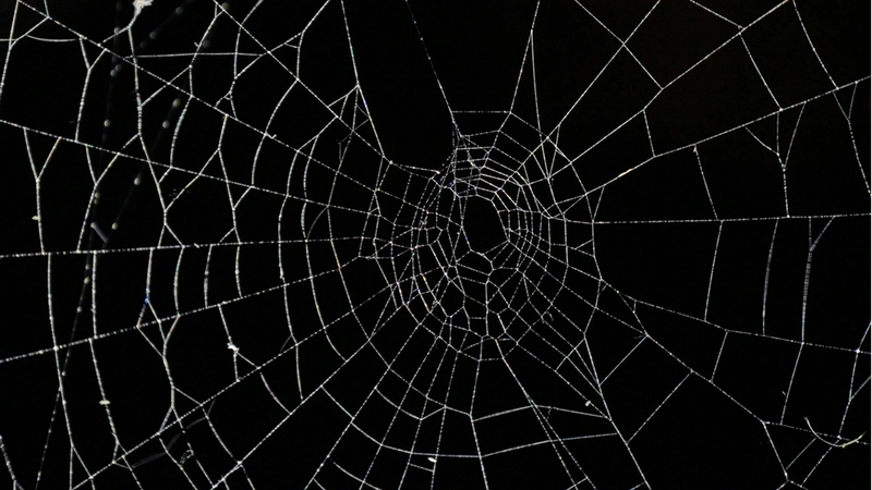 Arnavutluk-Yunanistan sınırında bir mağarada 