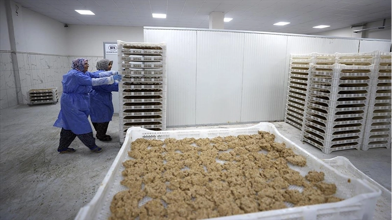 Osmanlı dönemi usulüyle yapılan tescilli Malatya tarhanası ihracata hazırlanıyor