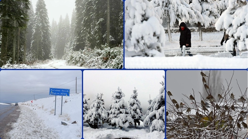 Yurdun bazı kesimlerinde kar yağışı ve soğuk hava etkili oluyor