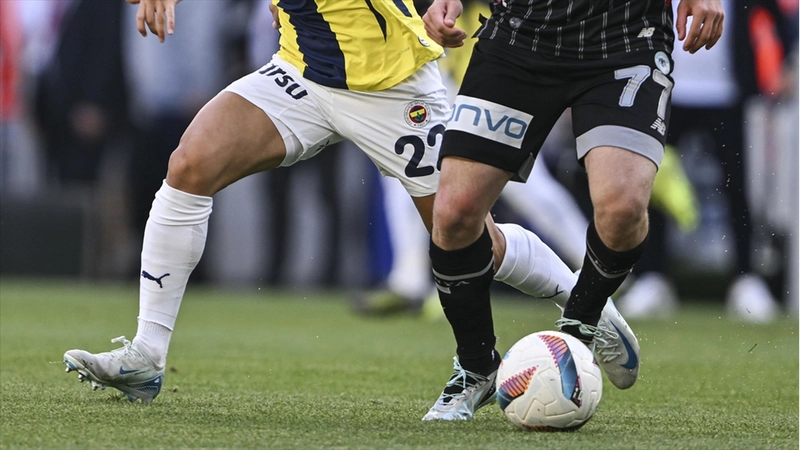 Fenerbahçe, Süper Lig